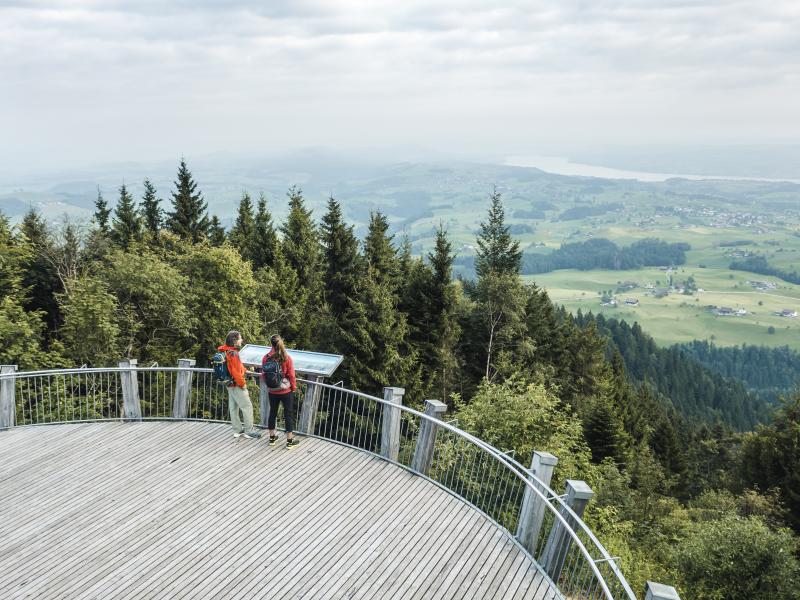 Wanderung Raten - Menzingen | Zug Tourismus