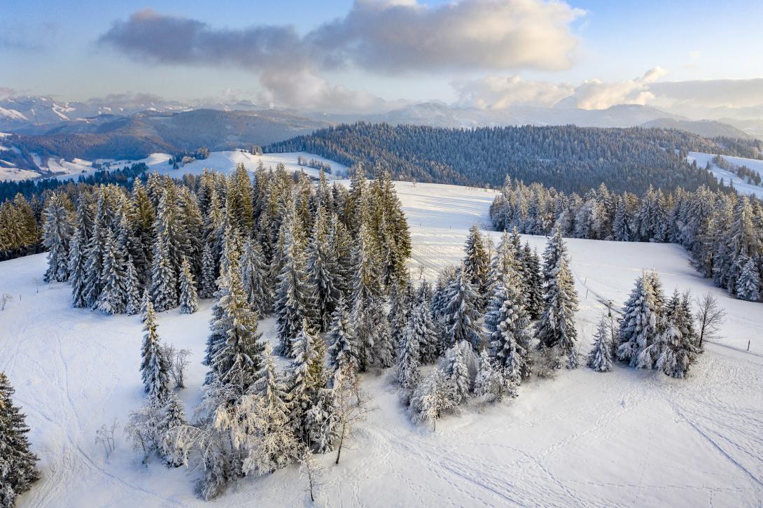 Stuben : Our Snow Culture 03 スチューベン Winter vacation in Stuben am Arlberg - Active vacation
